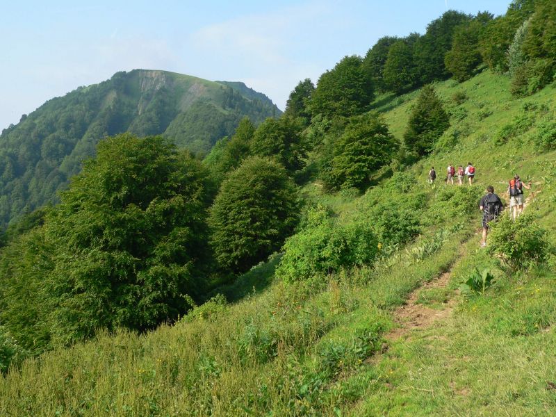 P1080015.jpg