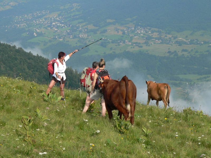 P1080021.jpg