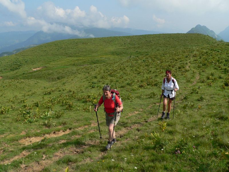 P1080024.jpg