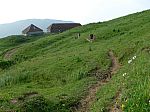 P1080014.jpg