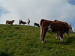 P1080020.jpg
