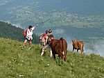 P1080021.jpg